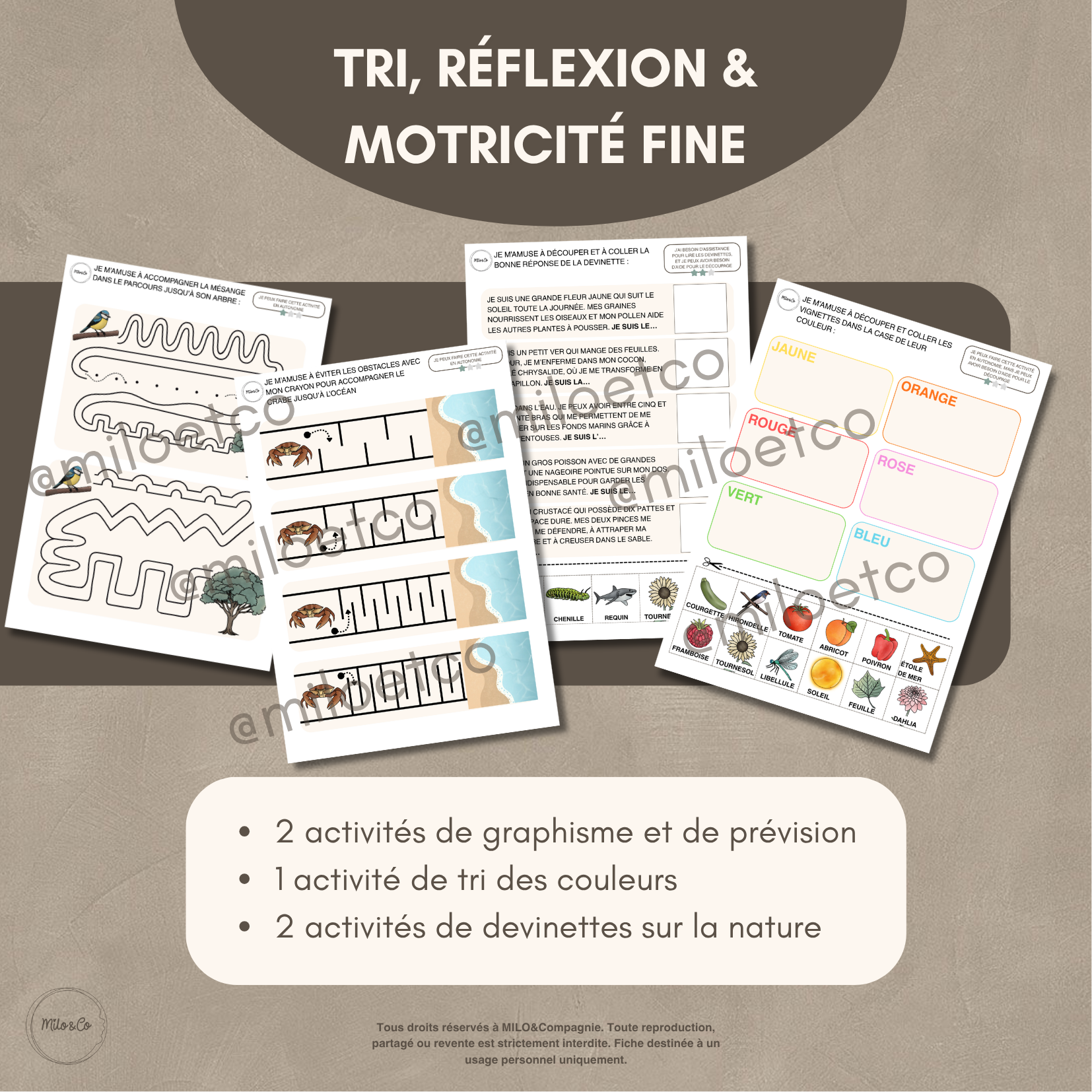 Pack de 38 Activités d’Été à Imprimer - Programme Maternelle : Lettres, Graphisme, Mathématiques, Motricité Fine…