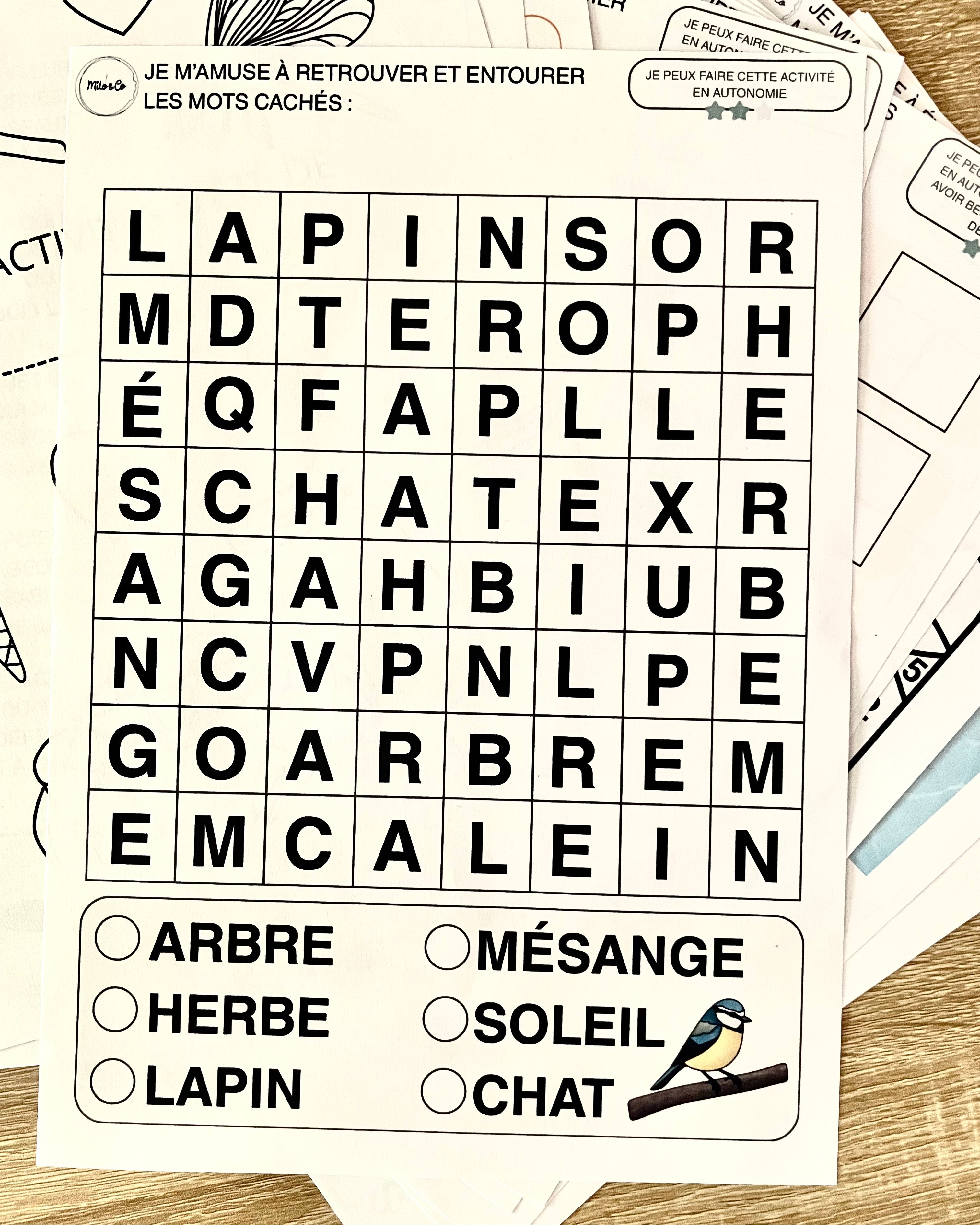 Pack de 38 Activités d’Été à Imprimer - Programme Maternelle : Lettres, Graphisme, Mathématiques, Motricité Fine…