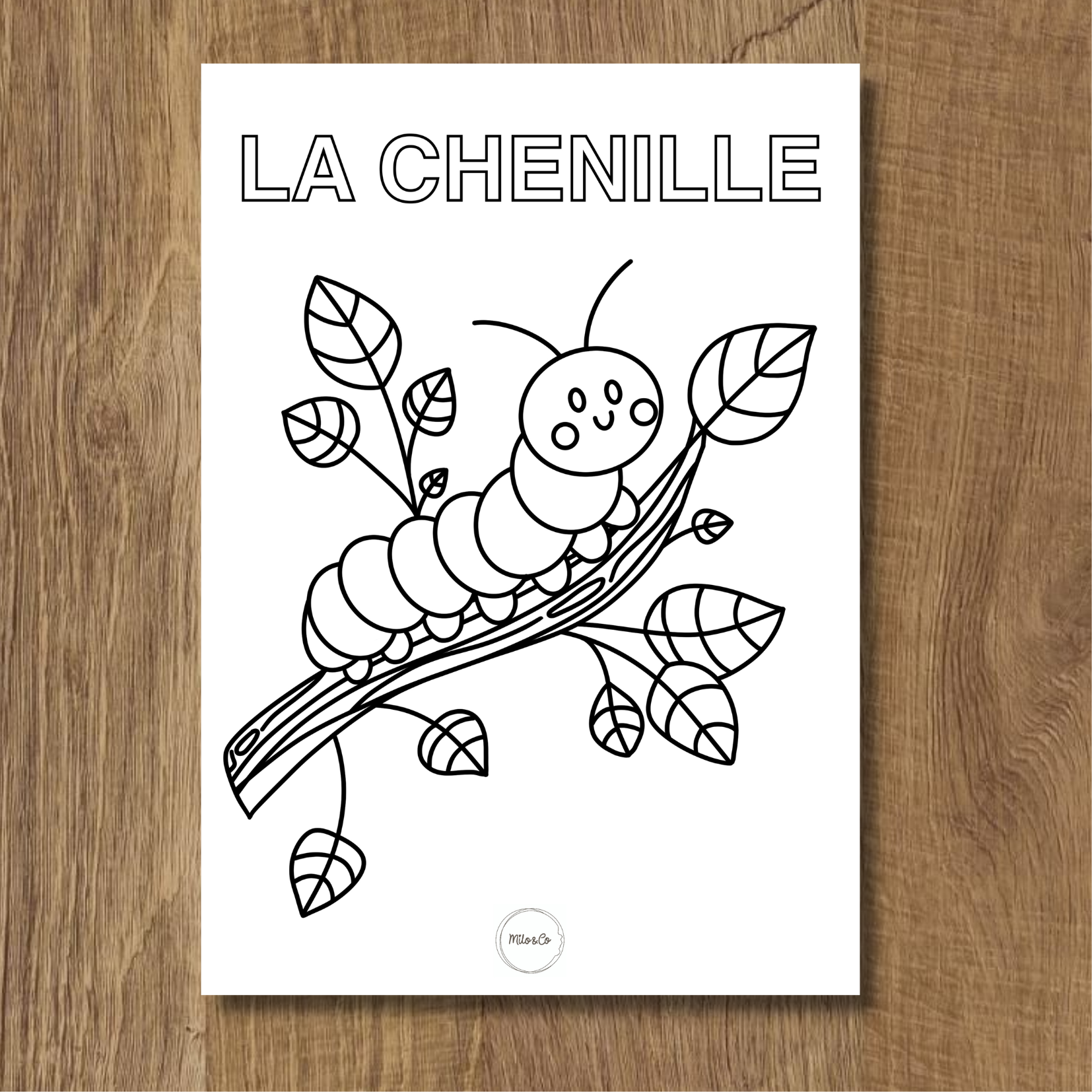 coloriage gratuit d'une chenille
