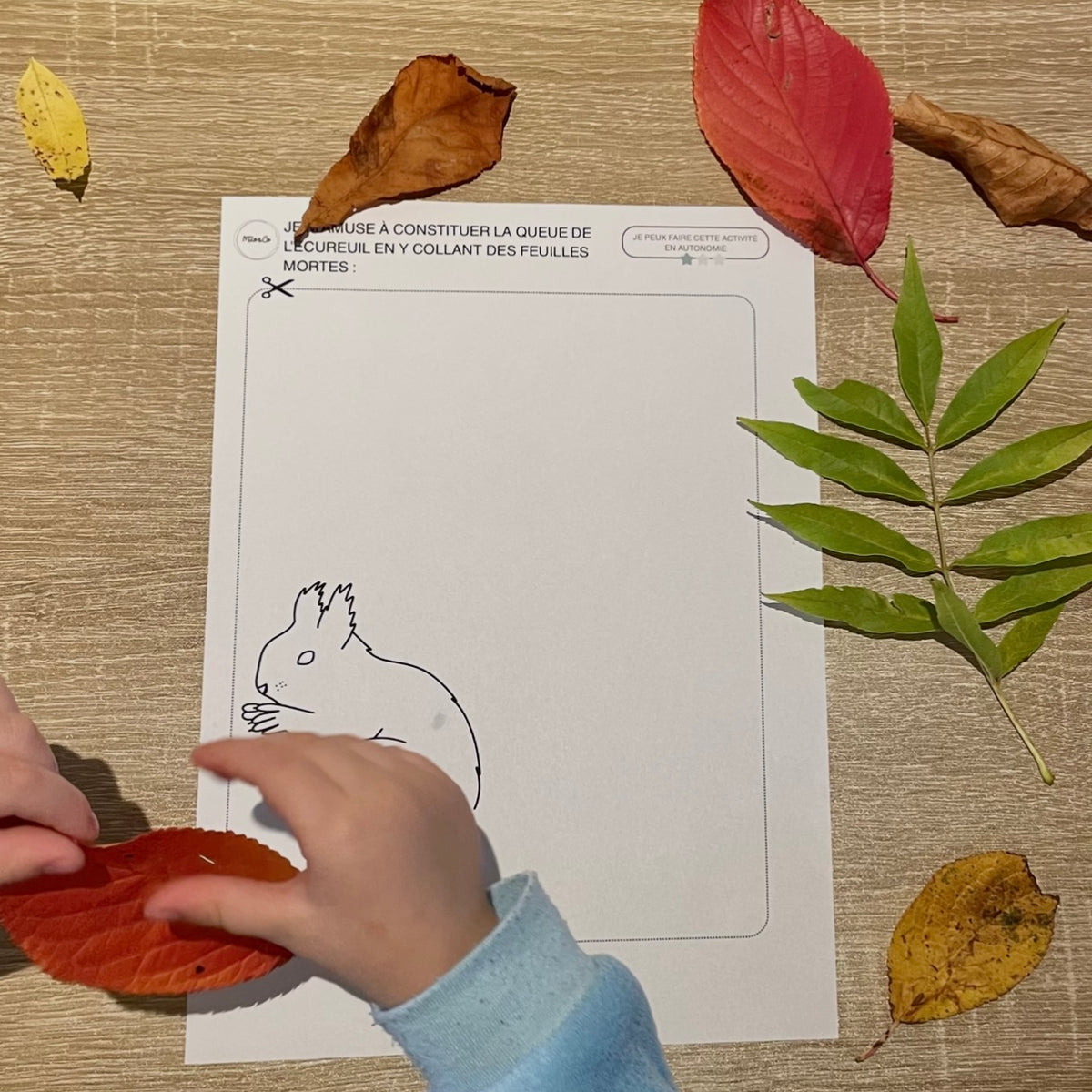 Pack d’Activités Éducatives Automne - Niveau Maternelle - Lettres, Mathématiques, Motricité Fine… - Fichiers PDF a Télécharger