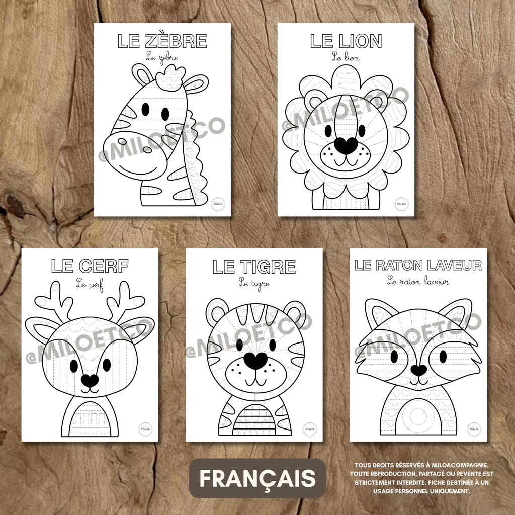 Fiches de Graphisme - Animaux - PDF à télécharger - Français ou Anglais
