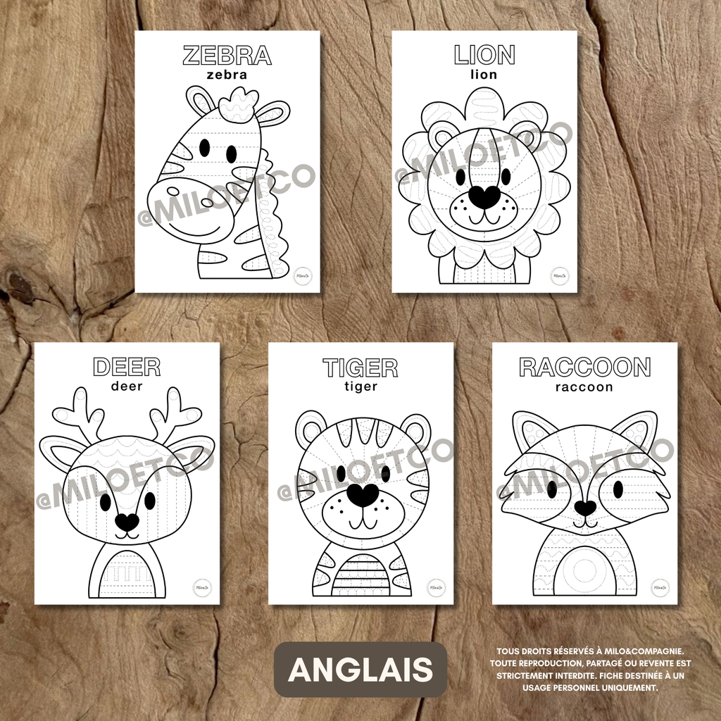 Fiches de Graphisme - Animaux - PDF à télécharger - Français ou Anglais