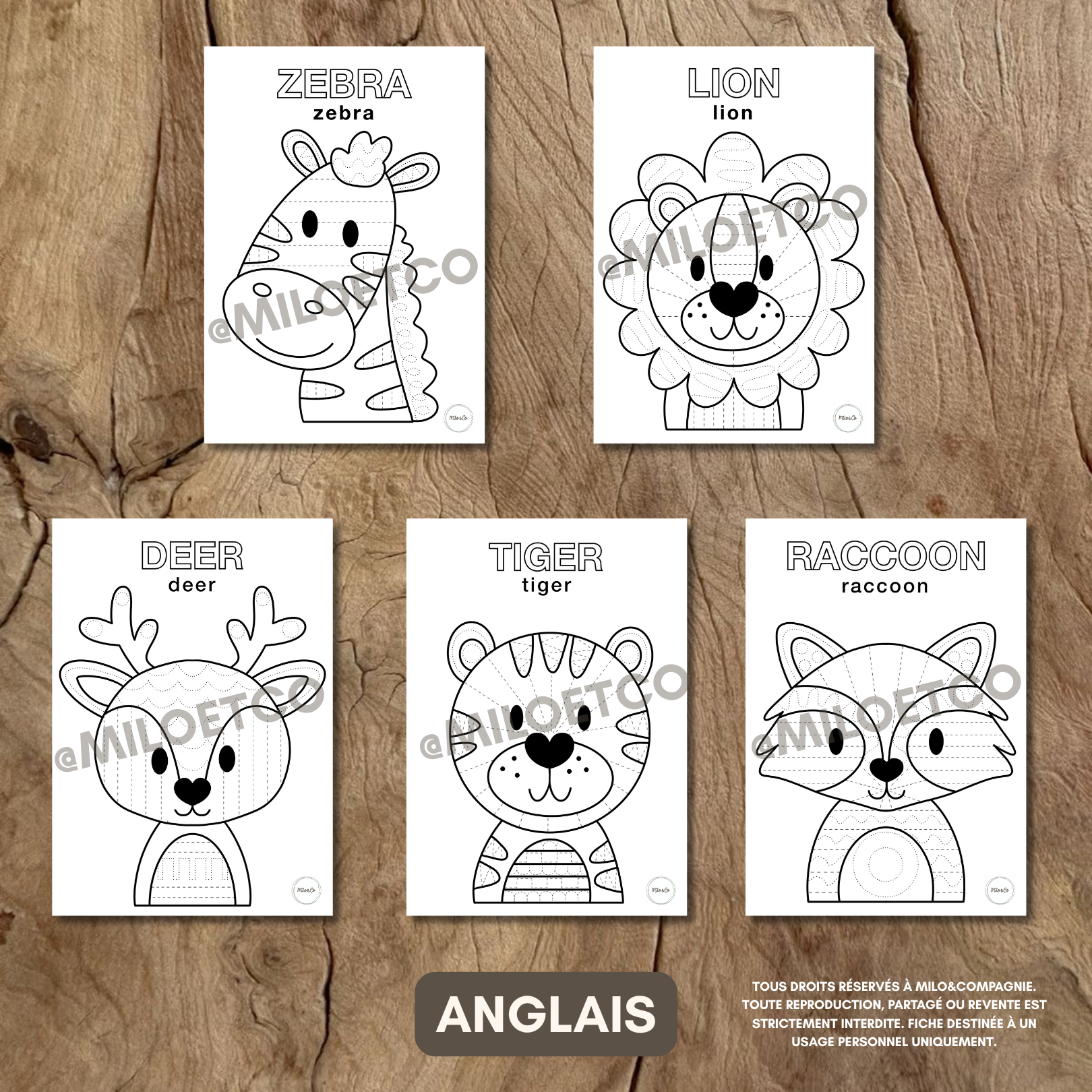 Fiches de Graphisme - Animaux - PDF à télécharger - Français ou Anglais