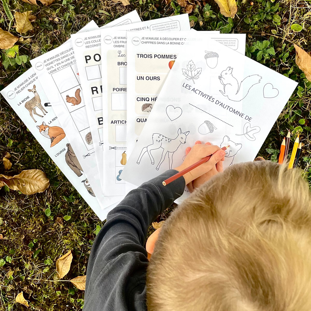 Pack d’Activités Éducatives Automne - Niveau Maternelle - Lettres, Mathématiques, Motricité Fine… - Fichiers PDF a Télécharger