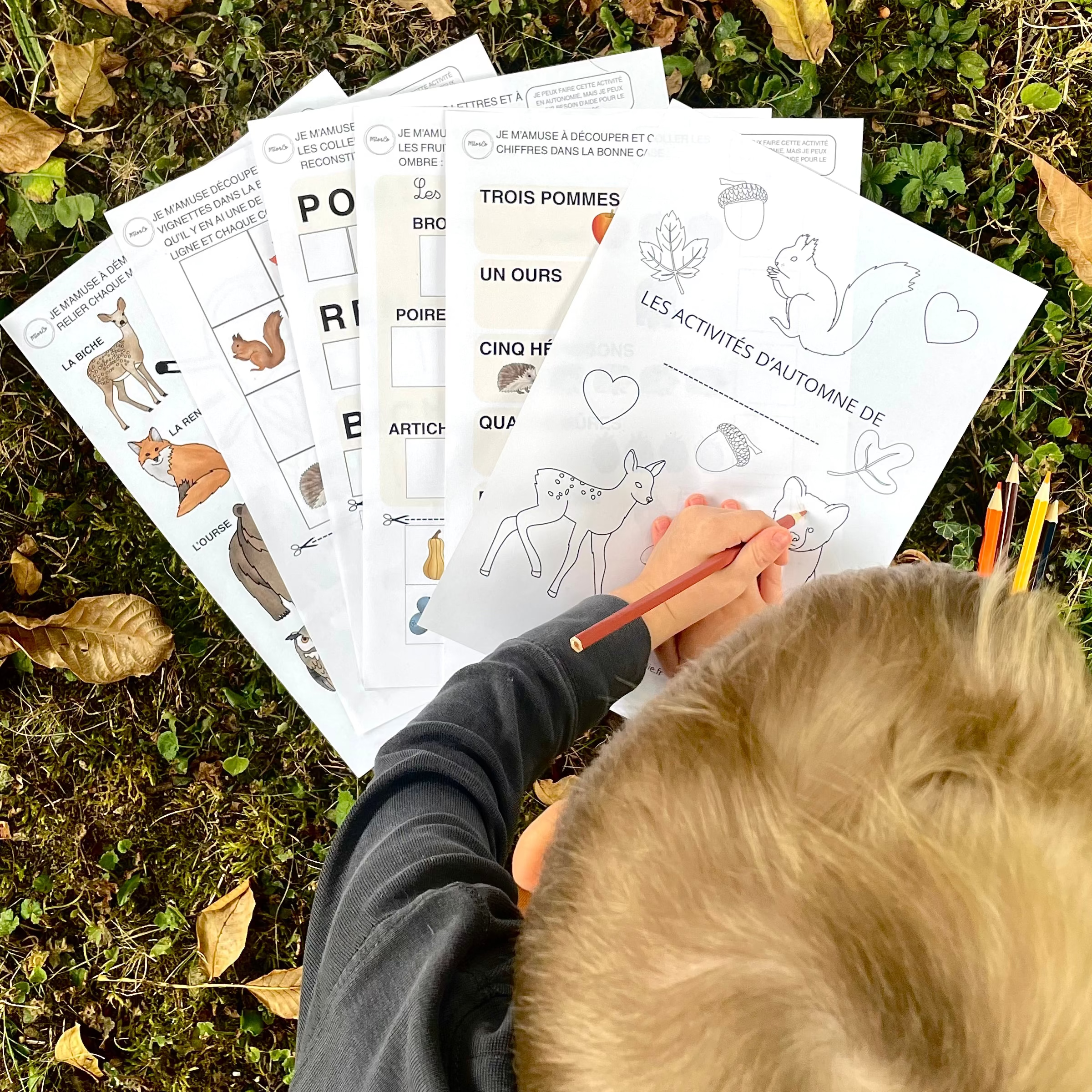 Pack d’Activités Éducatives Automne - Niveau Maternelle - Lettres, Mathématiques, Motricité Fine… - Fichiers PDF a Télécharger