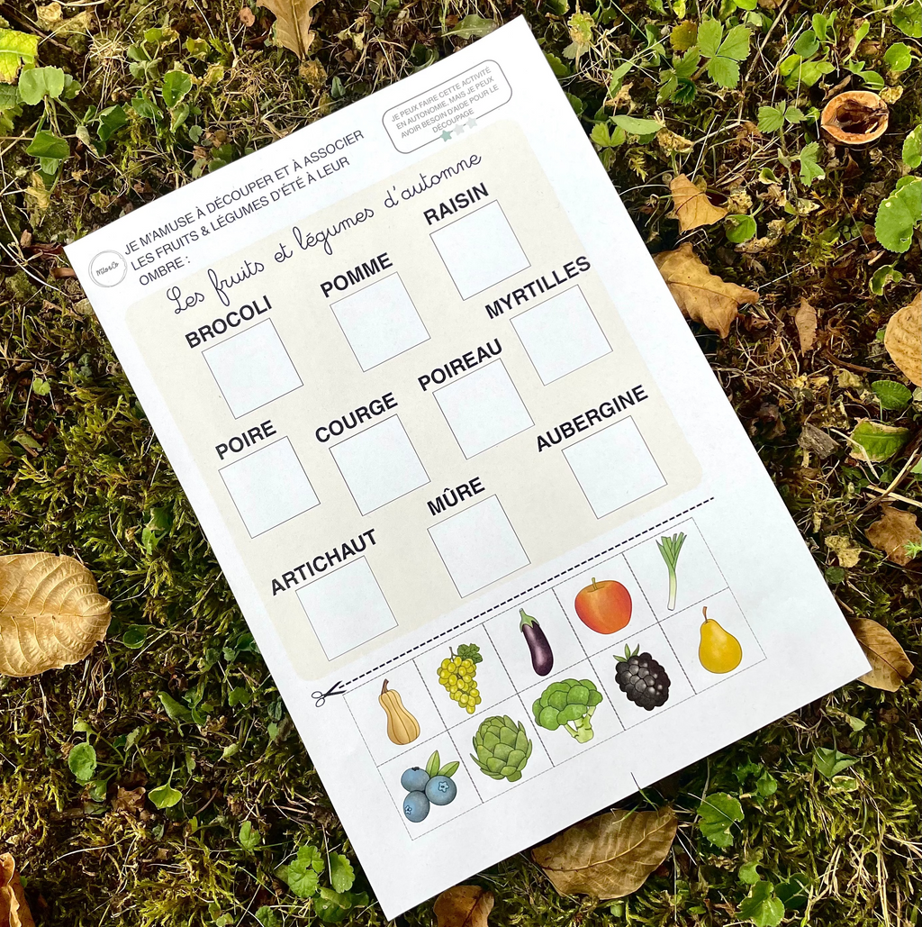 Pack d’Activités Éducatives Automne - Niveau Maternelle - Lettres, Mathématiques, Motricité Fine… - Fichiers PDF a Télécharger