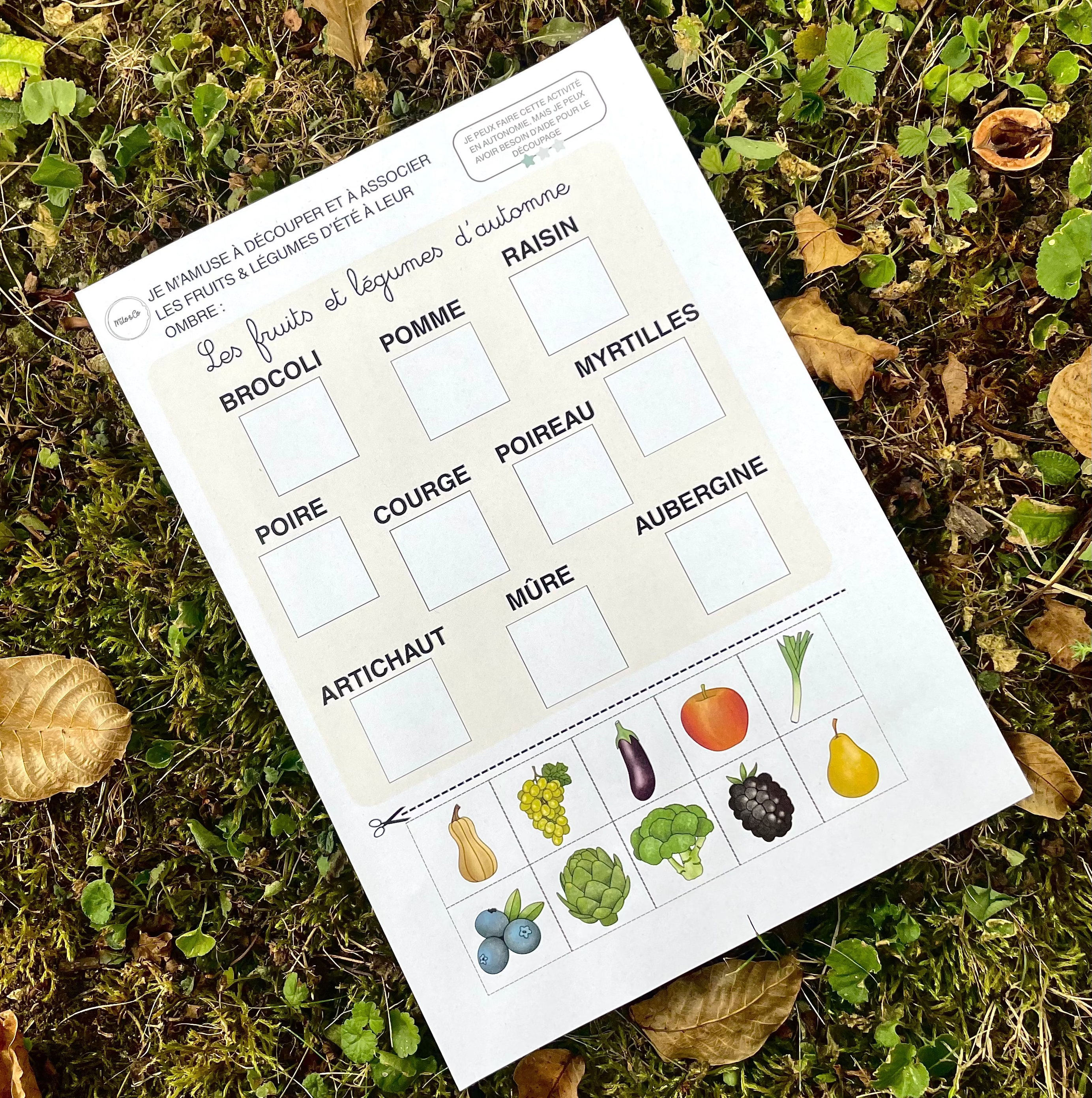 Pack d’Activités Éducatives Automne - Niveau Maternelle - Lettres, Mathématiques, Motricité Fine… - Fichiers PDF a Télécharger