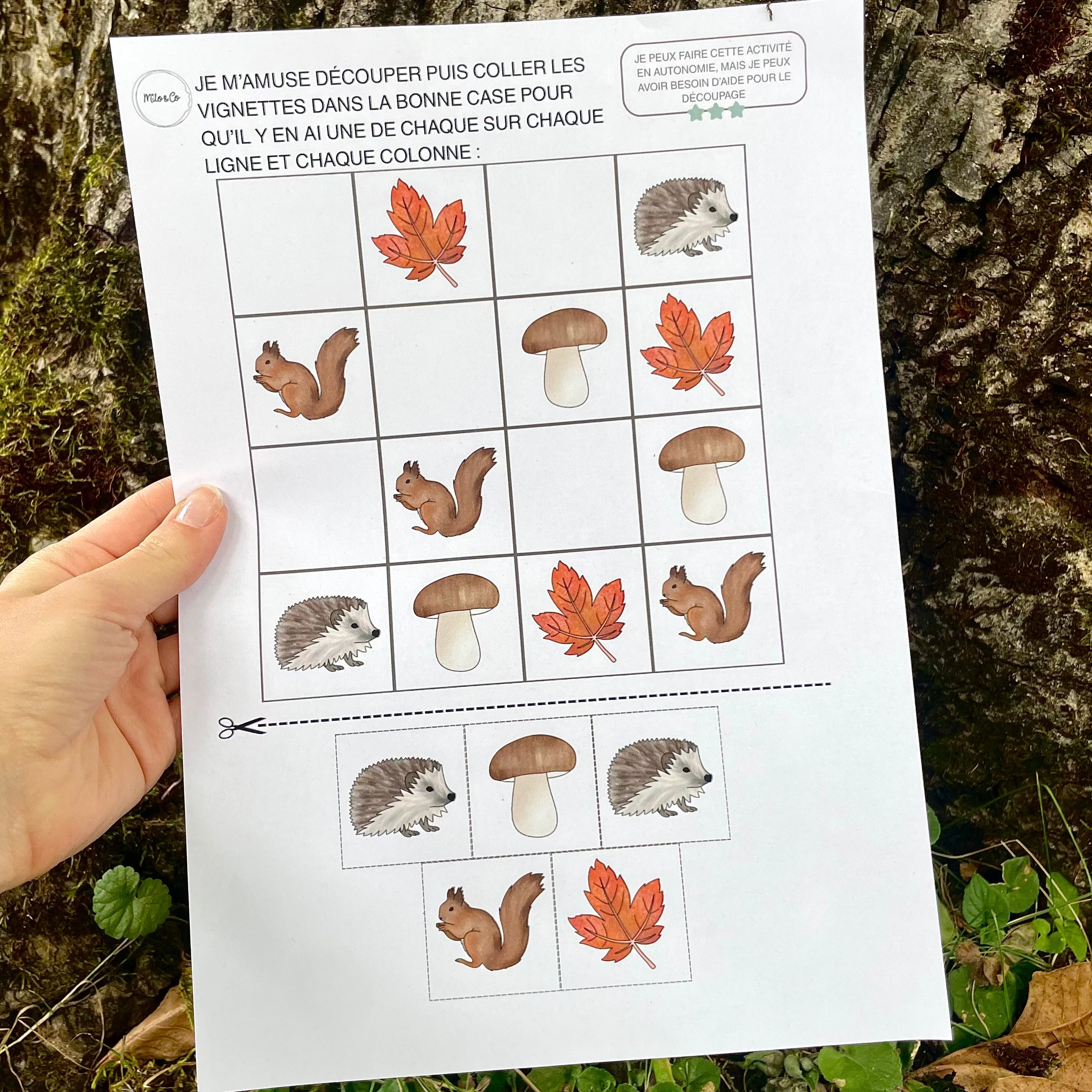 Pack d’Activités Éducatives Automne - Niveau Maternelle - Lettres, Mathématiques, Motricité Fine… - Fichiers PDF a Télécharger