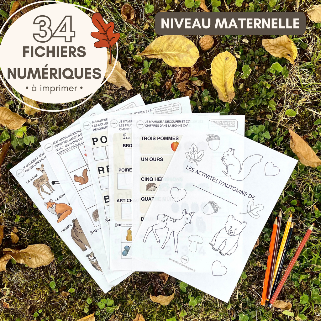 Pack d’Activités Éducatives Automne - Niveau Maternelle - Lettres, Mathématiques, Motricité Fine… - Fichiers PDF a Télécharger