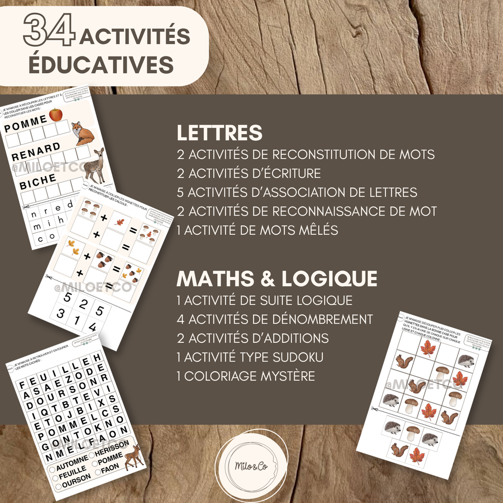 Pack d’Activités Éducatives Automne - Niveau Maternelle - Lettres, Mathématiques, Motricité Fine… - Fichiers PDF a Télécharger
