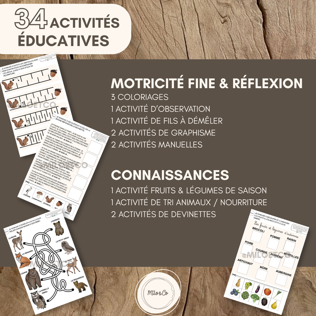 Pack d’Activités Éducatives Automne - Niveau Maternelle - Lettres, Mathématiques, Motricité Fine… - Fichiers PDF a Télécharger