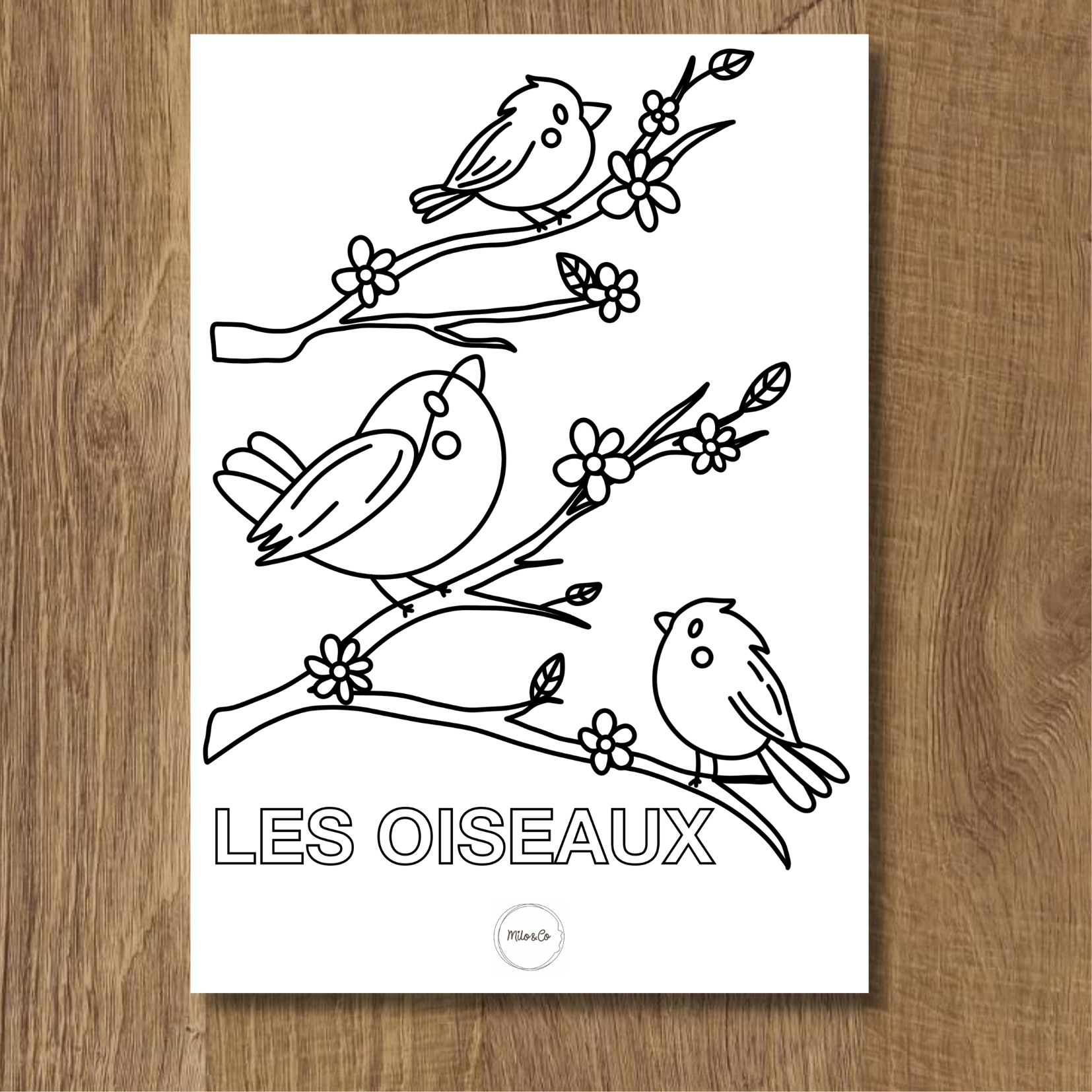 coloriage gratuit d'oiseaux