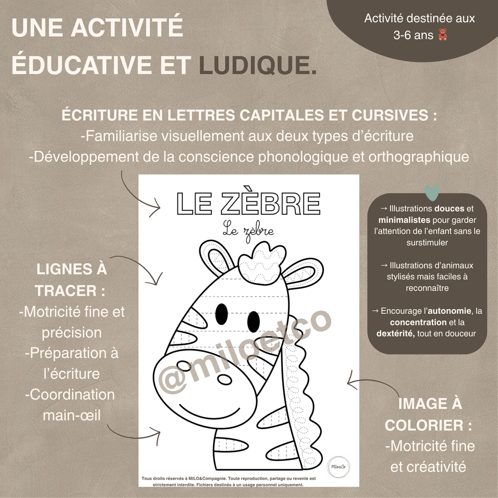Fiches de Graphisme - Animaux - PDF à télécharger - Français ou Anglais