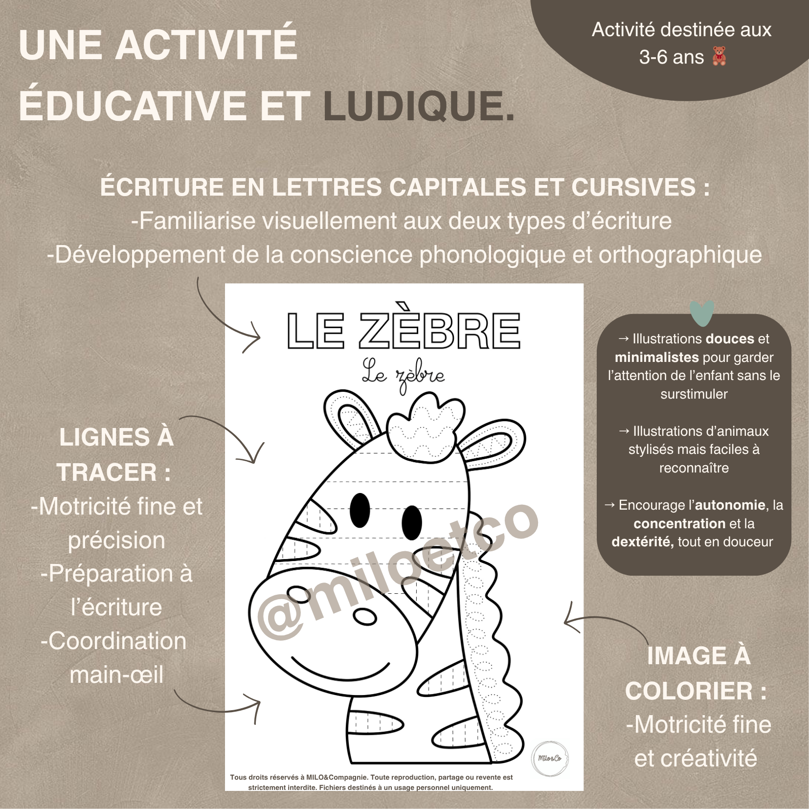 Fiches de Graphisme - Animaux - PDF à télécharger