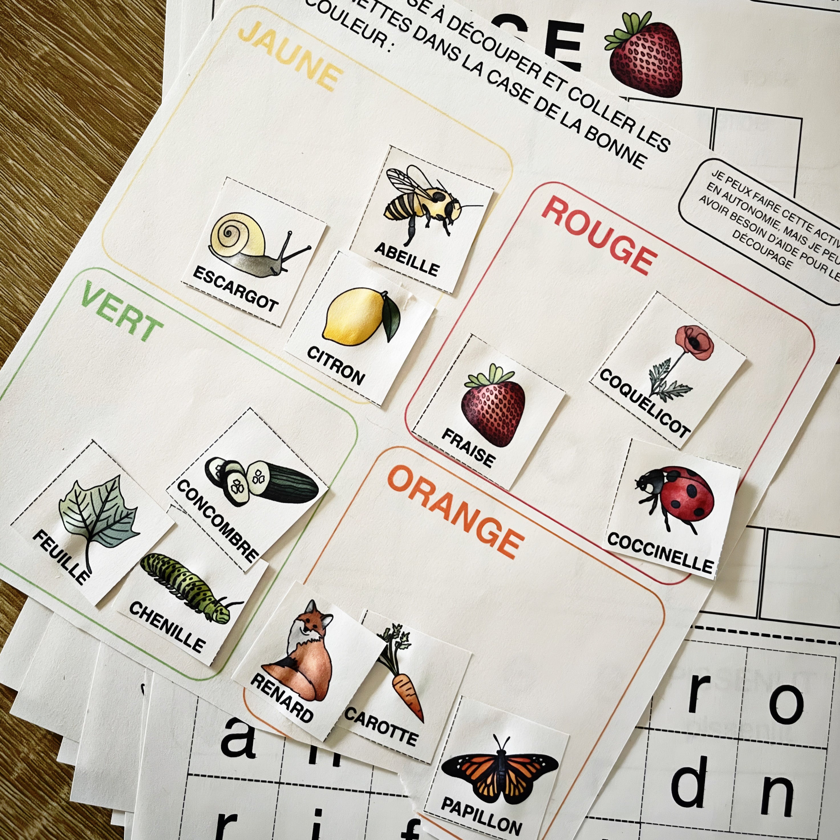 26 Activités de Printemps - PDF à Télécharger - Programme Maternelle