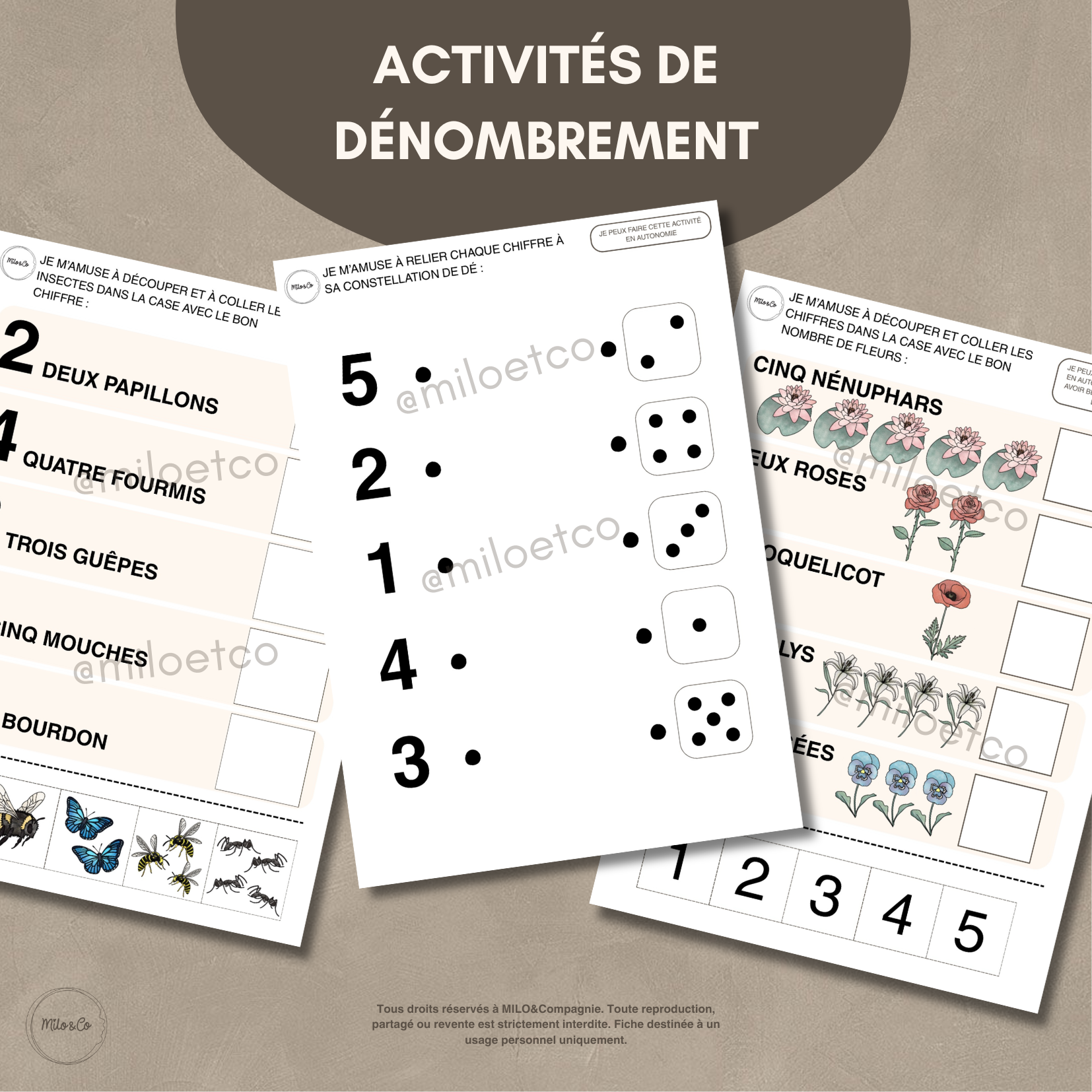 26 Activités de Printemps - PDF à Télécharger - Programme Maternelle