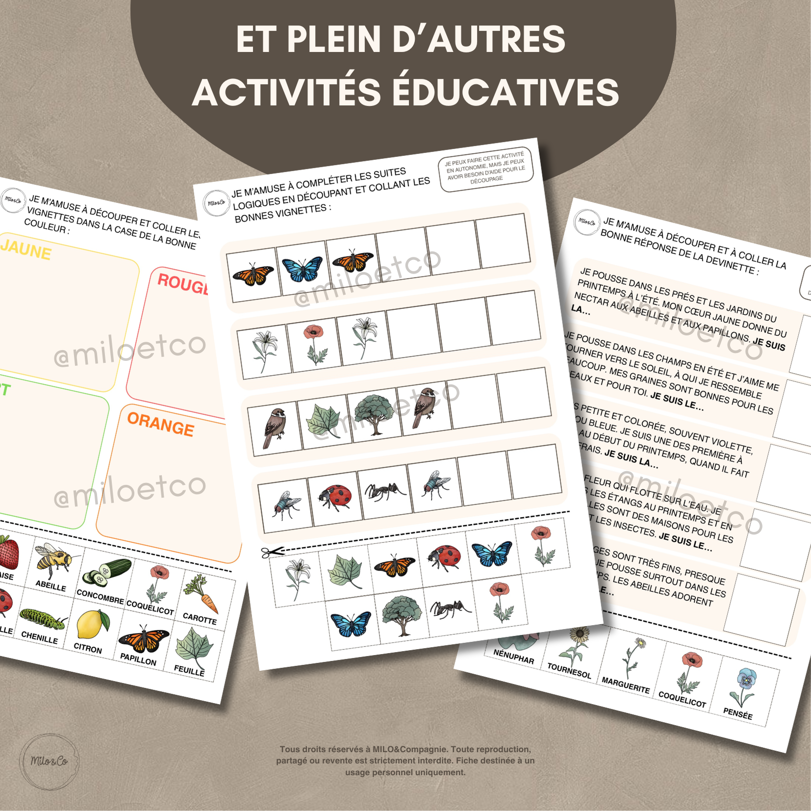 26 Activités de Printemps - PDF à Télécharger - Programme Maternelle