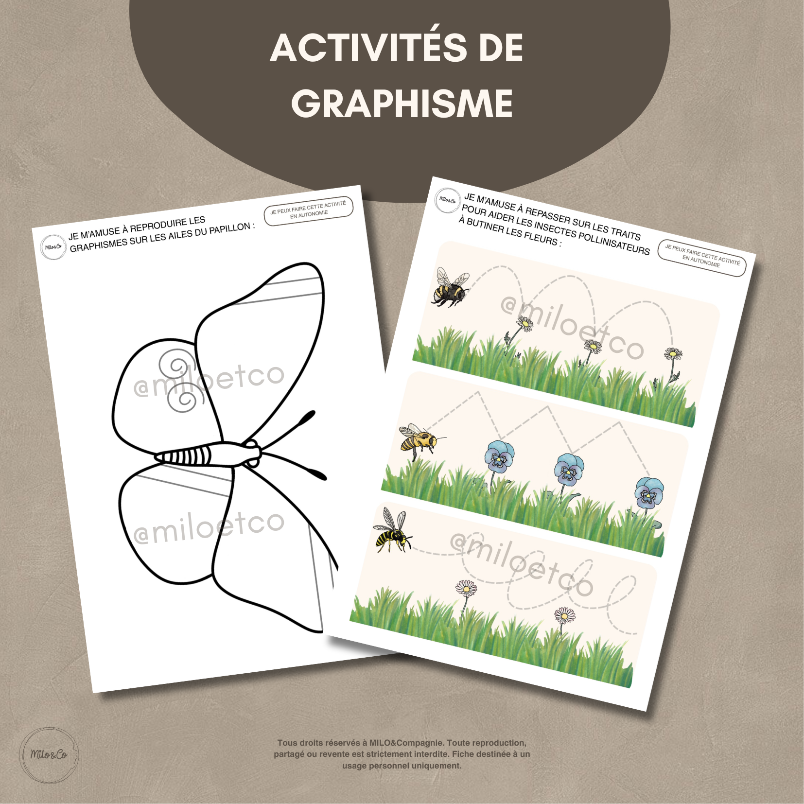 26 Activités de Printemps - PDF à Télécharger - Programme Maternelle