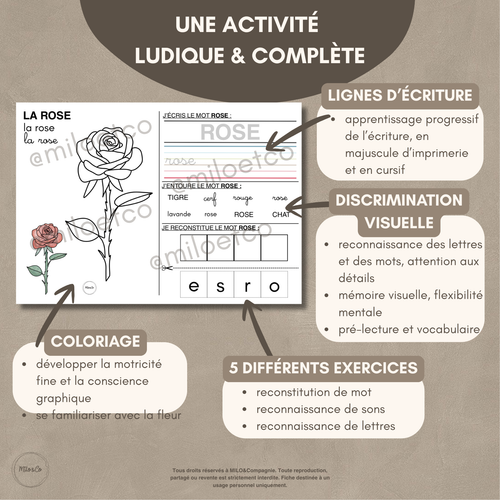 activités éducatives ludiques pour maternelle