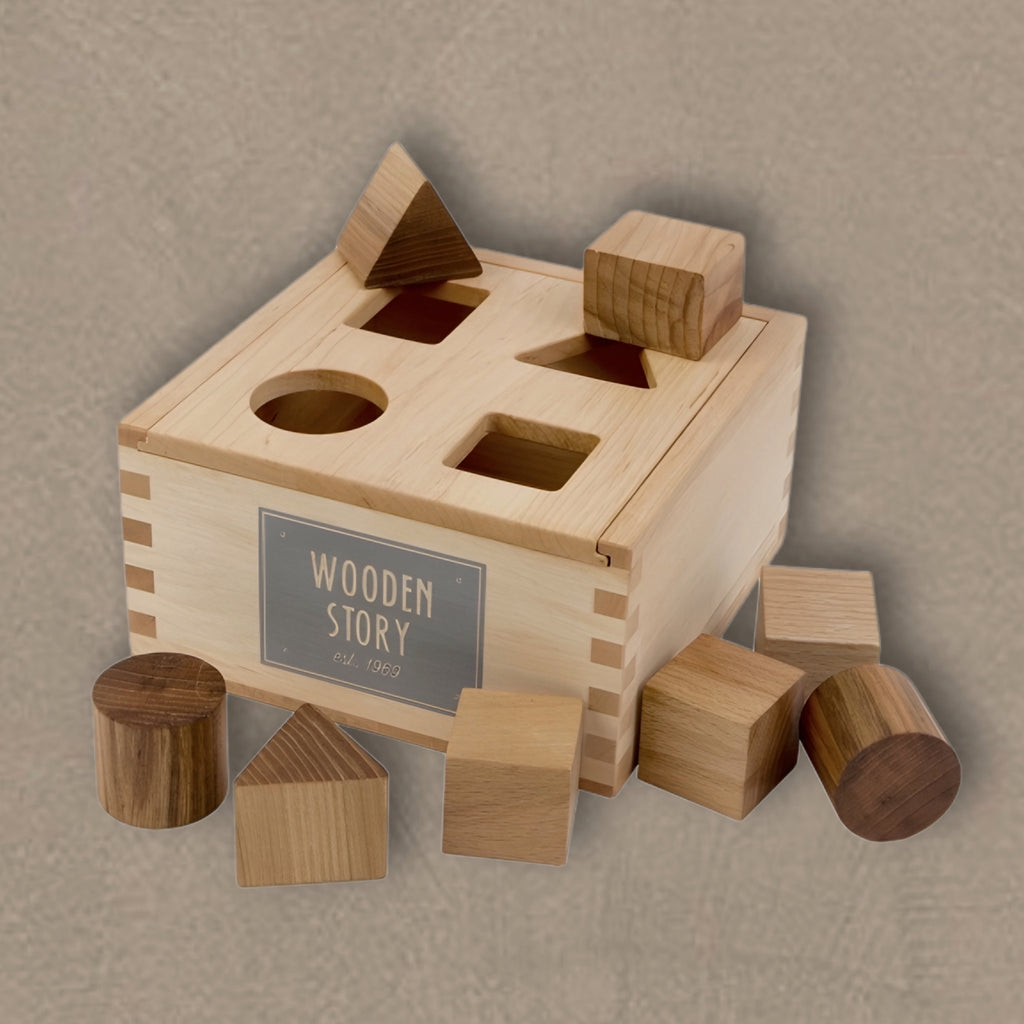 Boîte de Tri des Formes en Bois
