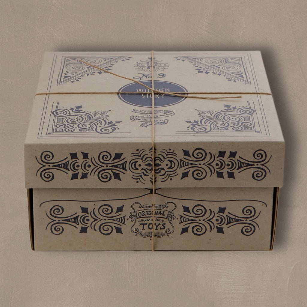 Boîte de Tri des Formes en Bois