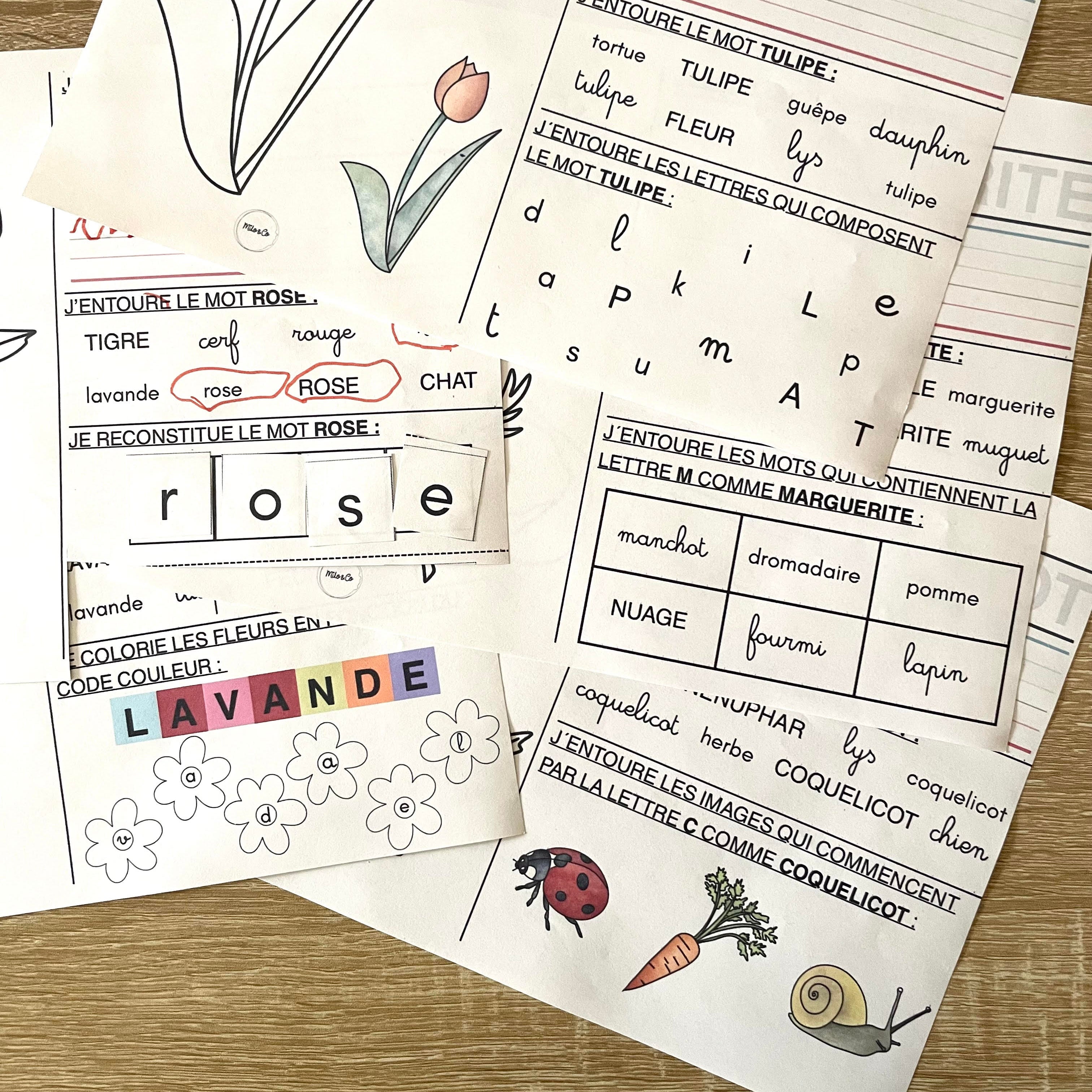 fiches d'exercice maternelle