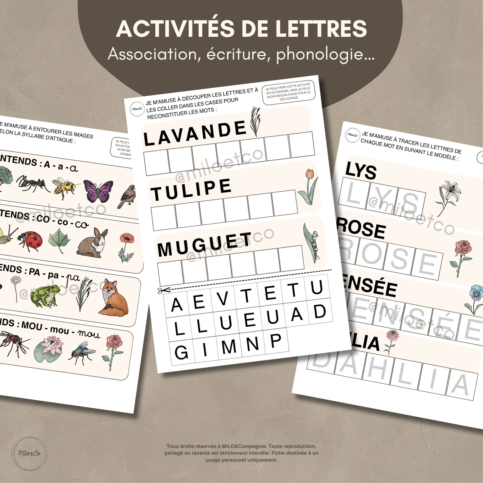 26 Activités de Printemps - PDF à Télécharger - Programme Maternelle