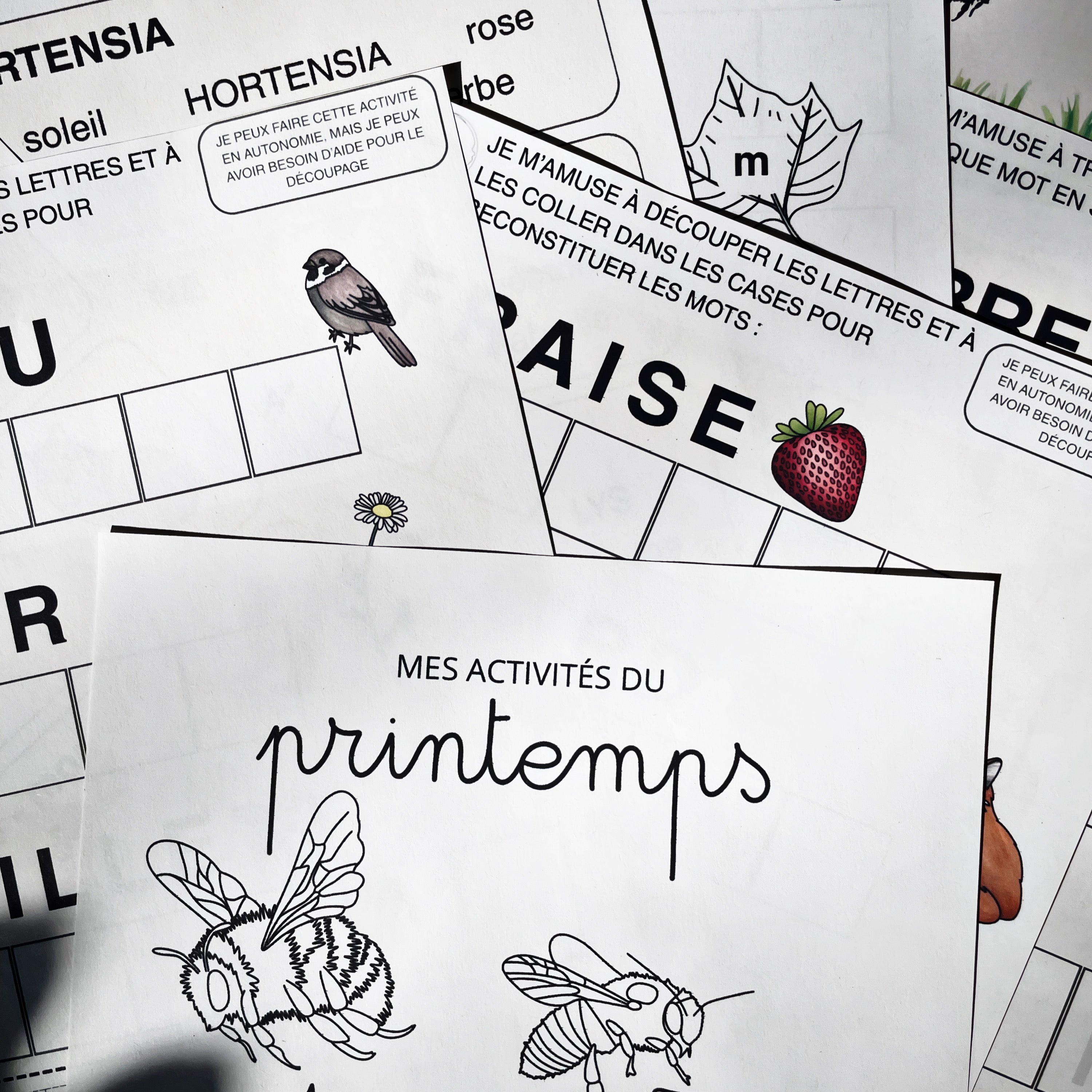 26 Activités de Printemps - PDF à Télécharger - Programme Maternelle