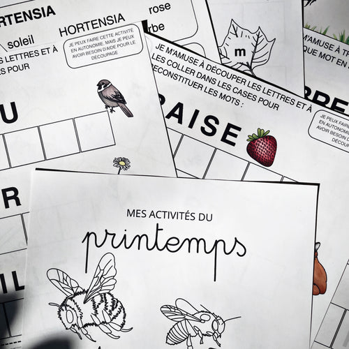 26 Activités de Printemps - PDF à Télécharger - Programme Maternelle