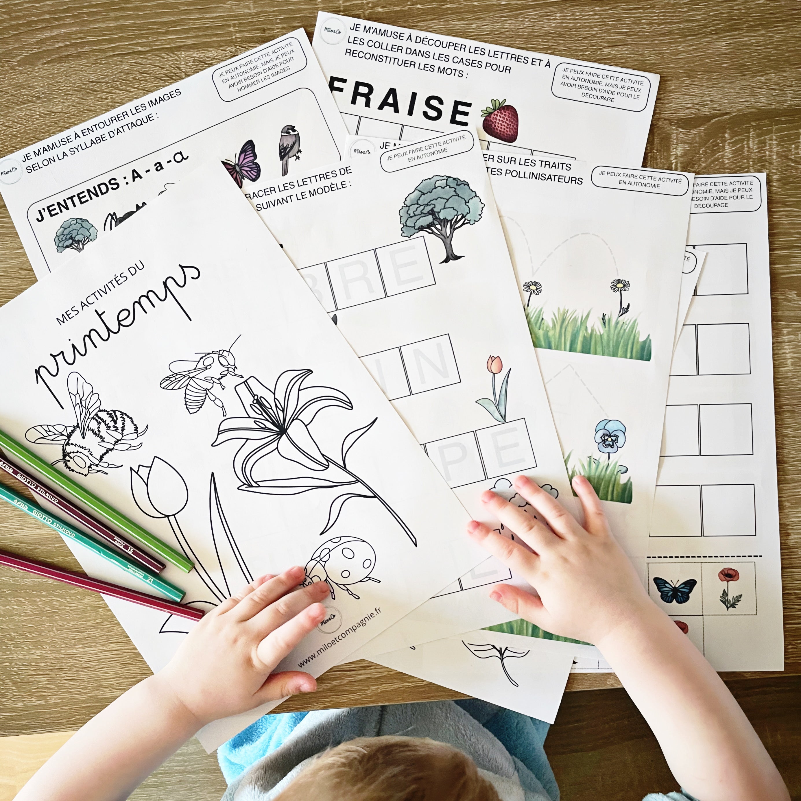 26 Activités de Printemps - PDF à Télécharger - Programme Maternelle