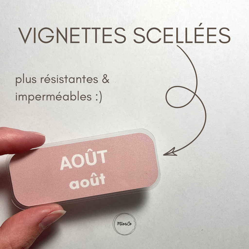 Affiche Interactive Pédagogique – Les Mois de l’Année - Support Plastifié