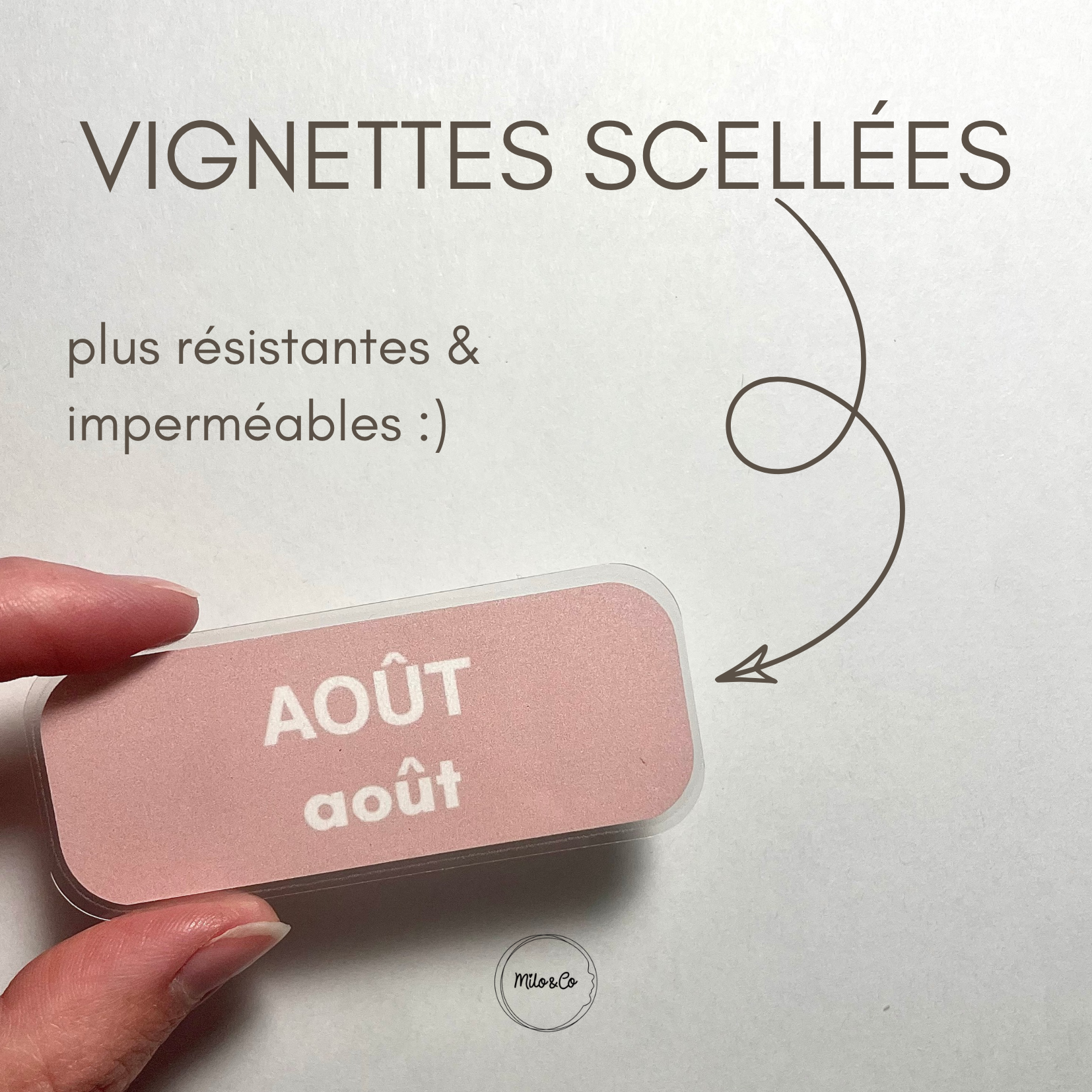 Affiche Interactive Pédagogique – Les Mois de l’Année - Support Plastifié